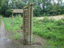 0_mur d'escalade (2)